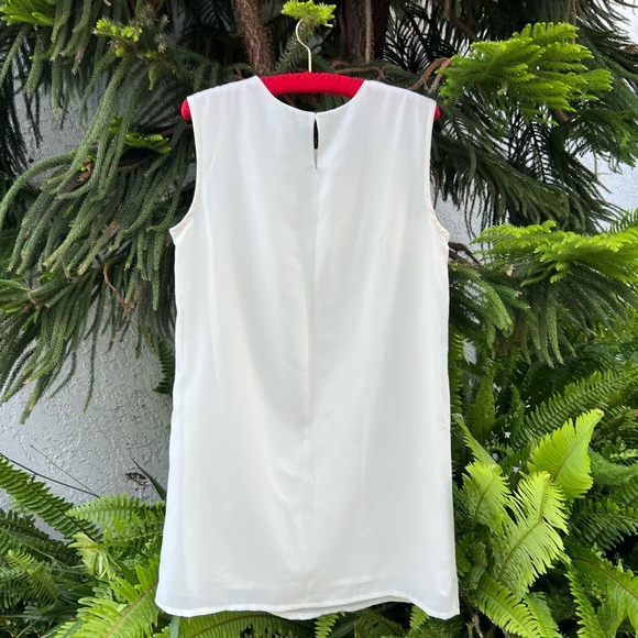 White Floral Embroidered Neckline Mini Shift Dress | Sleeveless & Silky | Small - Picture 5 of 9